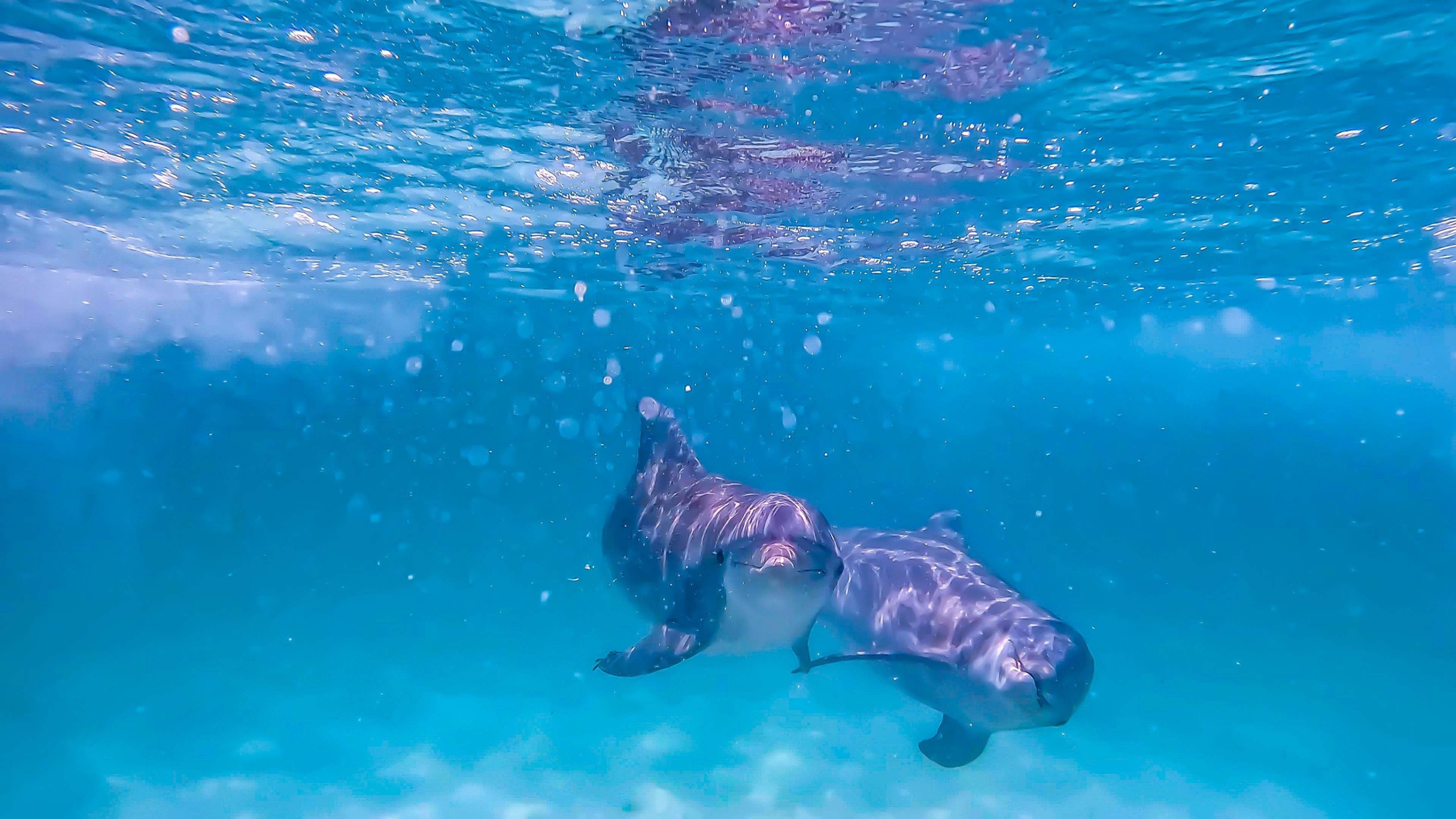 Top 10 Gulf Coast Vacation Areas (2026 Guide) Featured Image