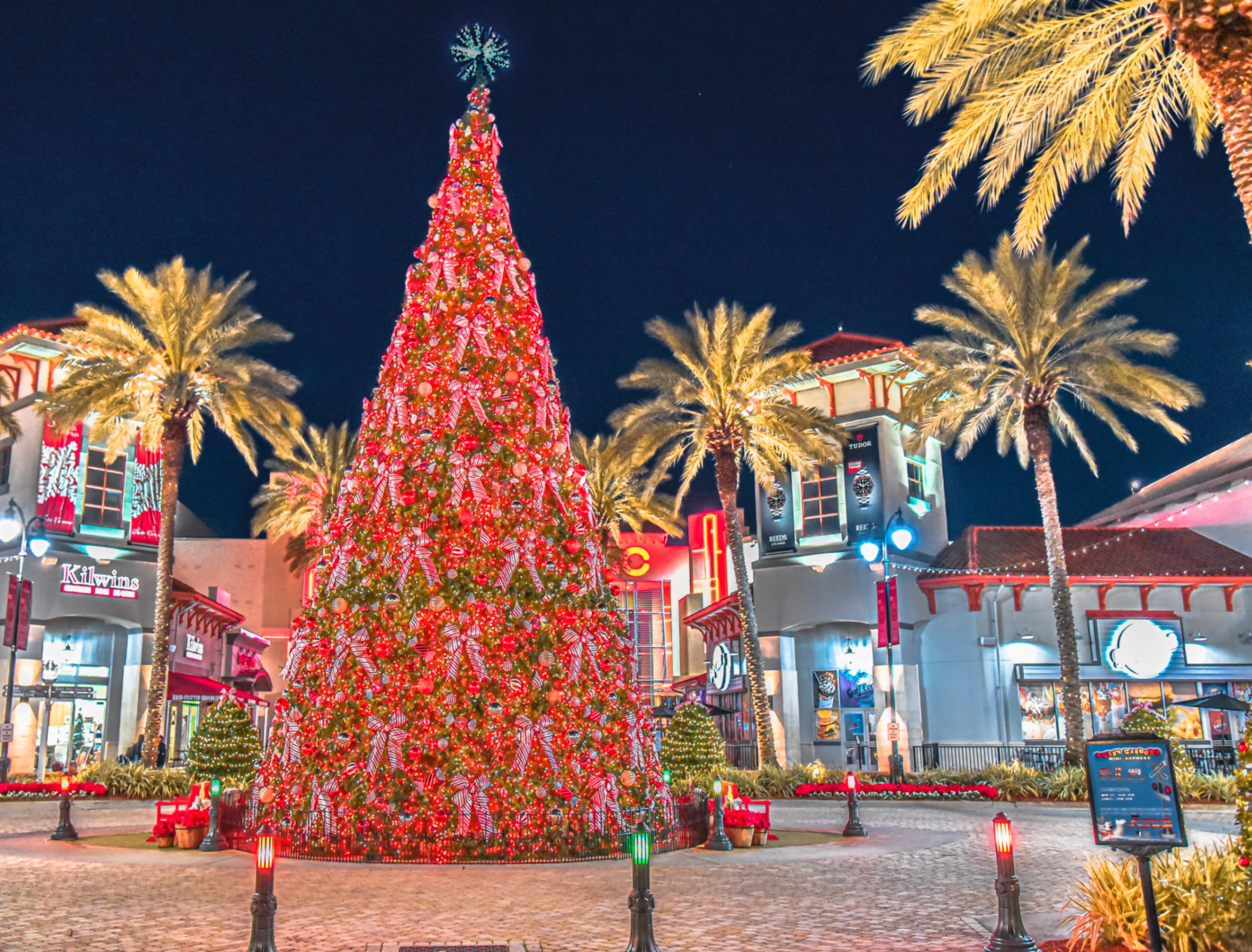 What to do in Destin for Christmas Featured Image