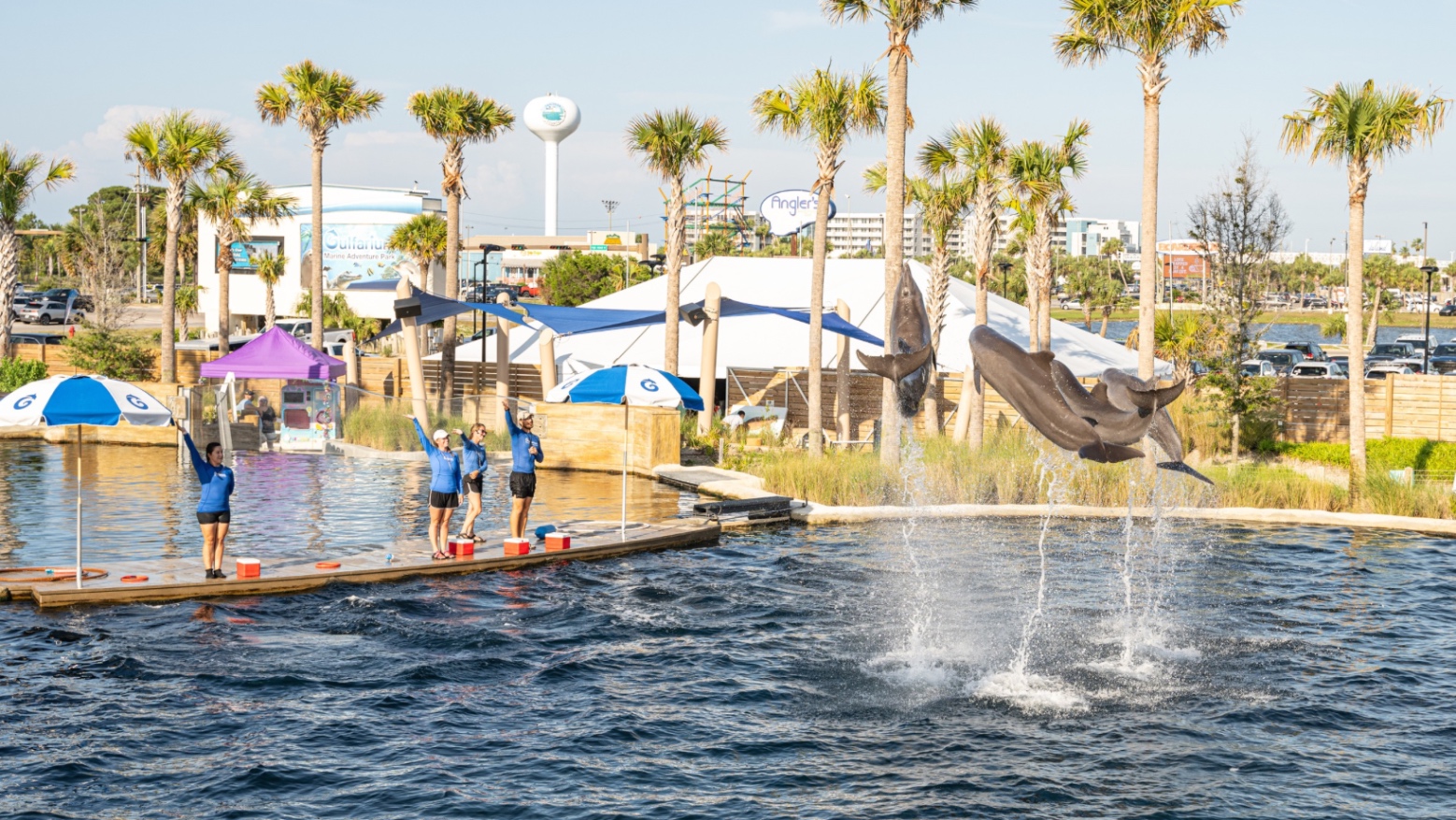 The Gulfarium’s Inaugural C.A.R.E on the Coast Event  Featured Image