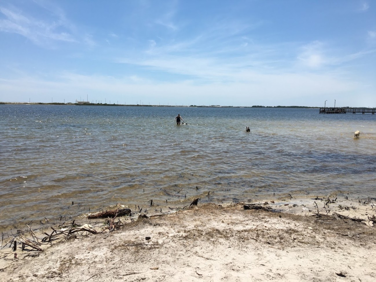 Liza Jackson Park: A Dog-Friendly Bayfront Escape in Fort Walton Beach Featured Image