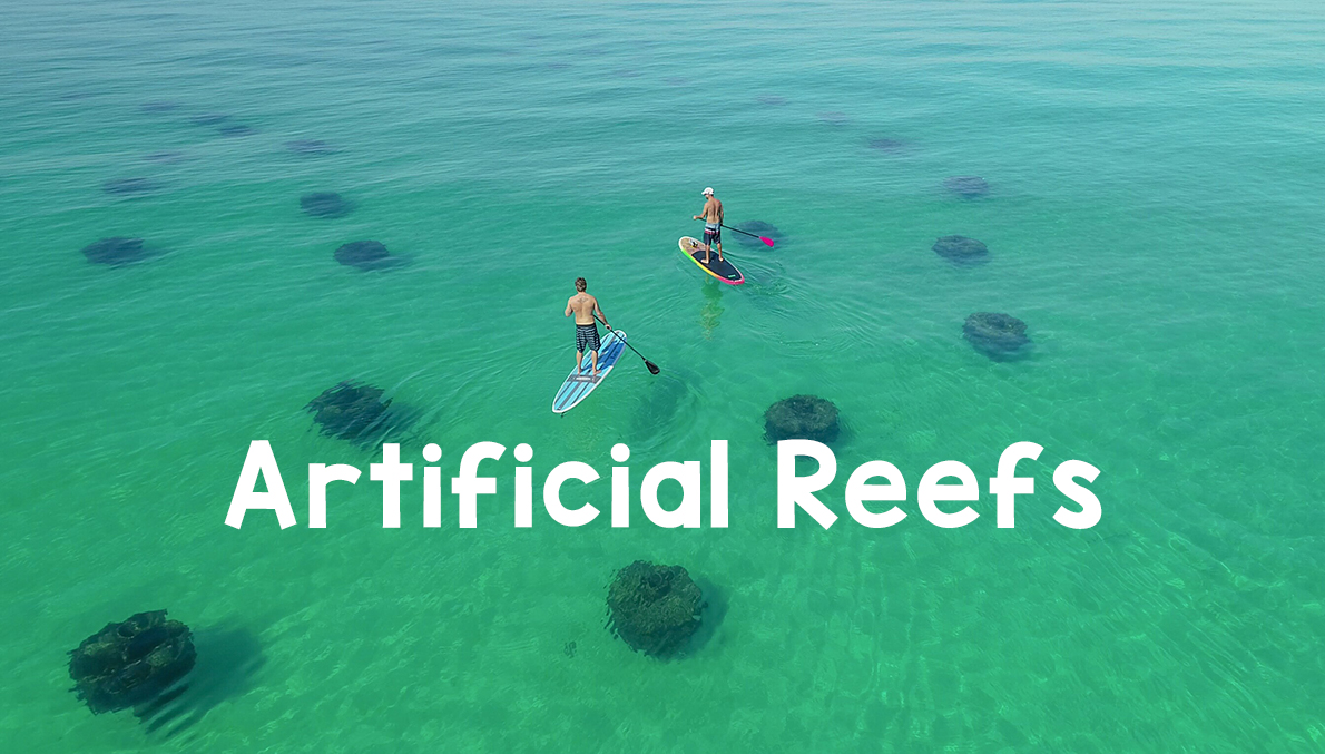 Artificial Reefs near Destin, Florida Featured Image
