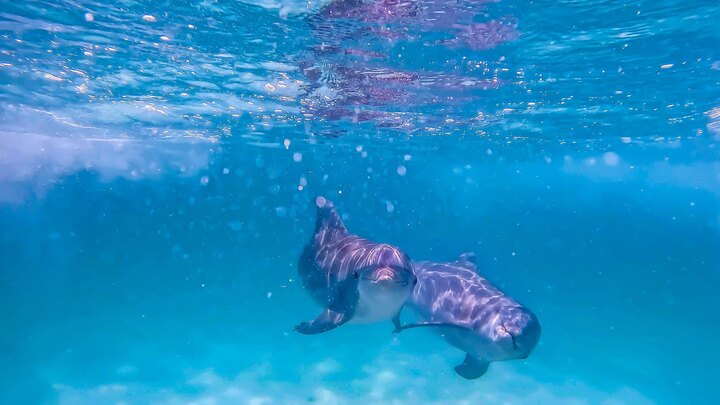 Top 10 Gulf Coast Vacation Areas Compared (2026 Guide) Featured Image