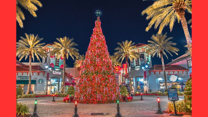 Christmas Tree Lighting Featured Image