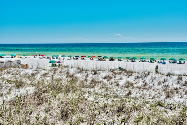 The Destin Experience! Featured Image